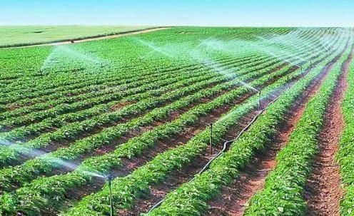 美女被人操的网站农田高 效节水灌溉